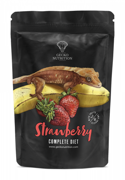 Gecko Nutrition Erdbeere